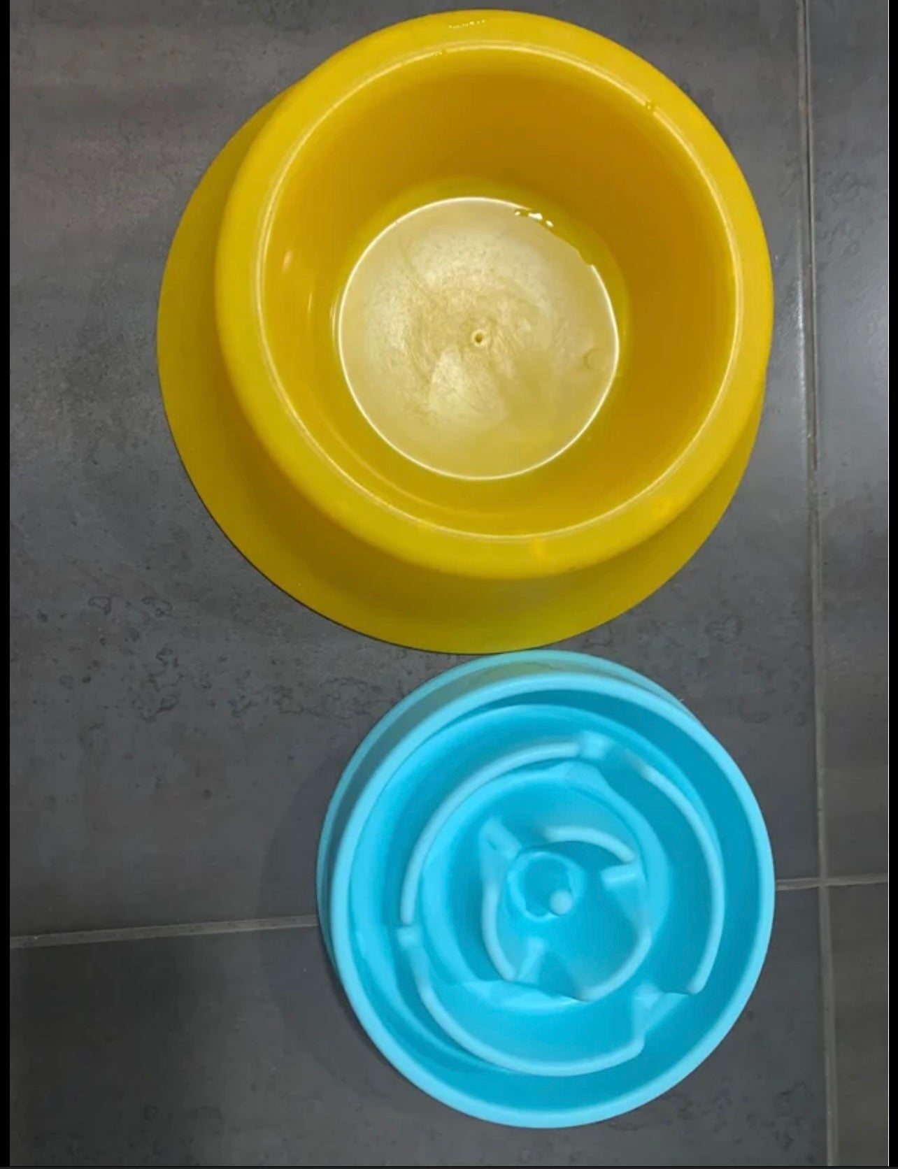 Dog water and feeding bowl